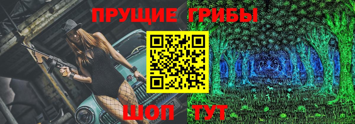 Псилоцибиновые грибы Cubensis Домодедово