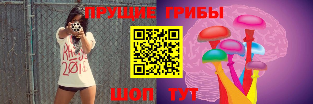 Домодедово  Галлюциногенные грибы Psilocybe  что такое наркотик  Вход с VPN 